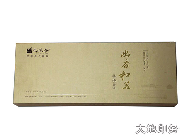 岳陽市大地印務有限公司,岳陽大地印務,印刷包裝,食品包裝哪里好