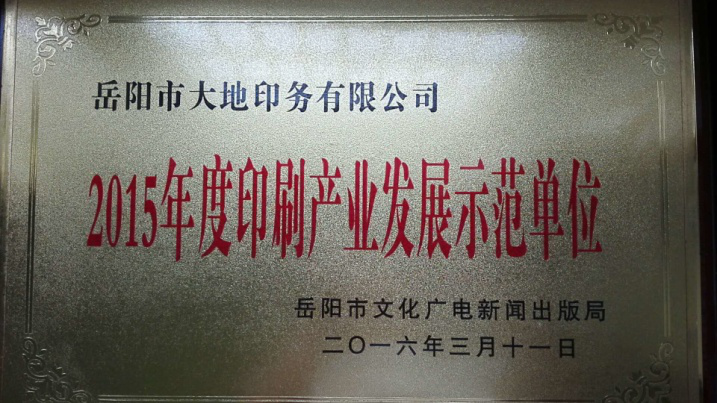 岳陽市大地印務有限公司,岳陽大地印務,印刷包裝,食品包裝哪里好